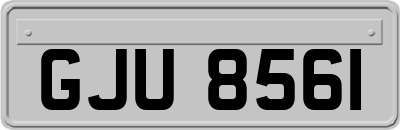 GJU8561