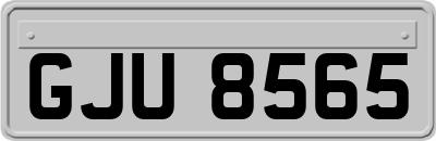 GJU8565
