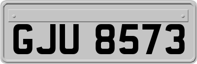 GJU8573