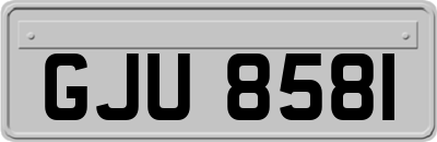 GJU8581