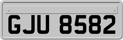 GJU8582