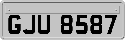 GJU8587