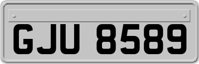 GJU8589
