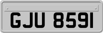 GJU8591