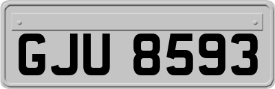 GJU8593
