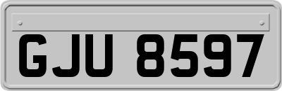 GJU8597