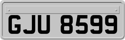 GJU8599