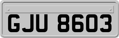 GJU8603