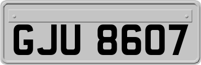 GJU8607