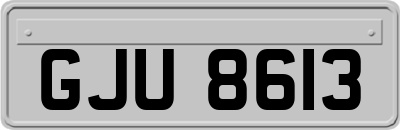 GJU8613