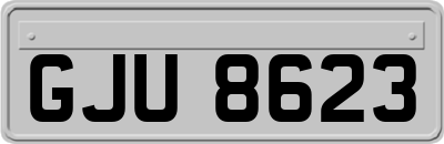 GJU8623