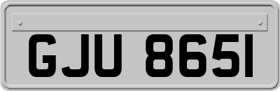 GJU8651