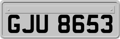 GJU8653