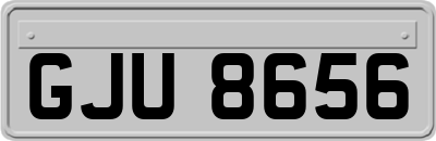 GJU8656