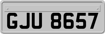 GJU8657