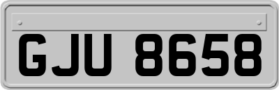 GJU8658