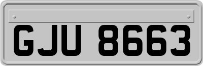 GJU8663