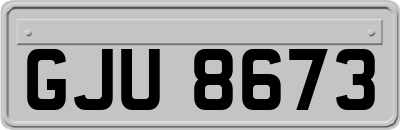 GJU8673