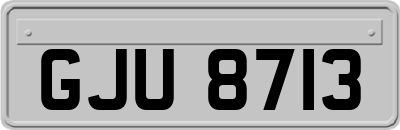 GJU8713