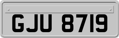 GJU8719
