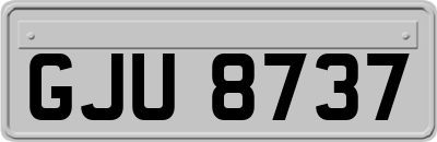 GJU8737