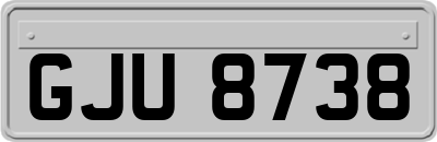 GJU8738