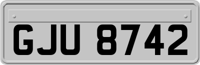 GJU8742