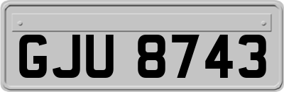 GJU8743