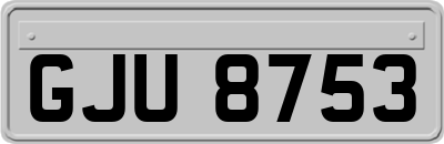 GJU8753