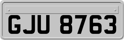 GJU8763