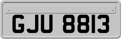 GJU8813