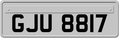 GJU8817