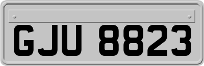 GJU8823