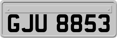 GJU8853