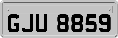 GJU8859