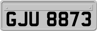 GJU8873