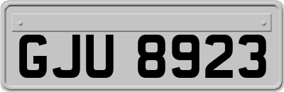 GJU8923