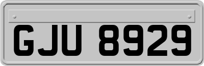 GJU8929