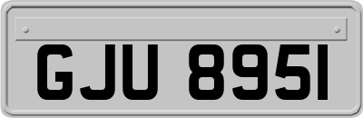 GJU8951