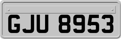 GJU8953