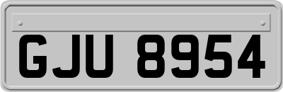 GJU8954