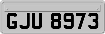 GJU8973