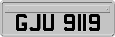 GJU9119