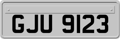 GJU9123
