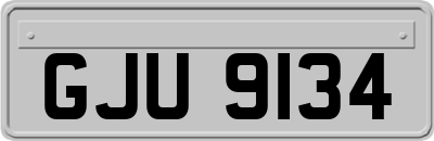 GJU9134