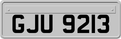 GJU9213
