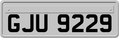 GJU9229