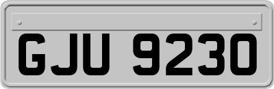 GJU9230