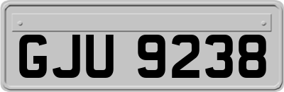 GJU9238