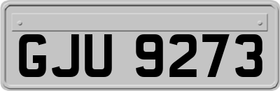 GJU9273